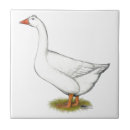 Suche nach gans fliesen Wasservögel