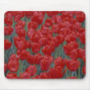 Suche nach rote tulpe mousepads Nordamerika