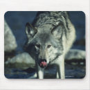 Suche nach graue wölfe mousepads Vertikal