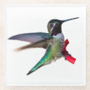 Suche nach kolibri untersetzer Vogel