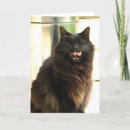 Suche nach halloween karten Katze