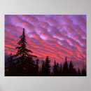 Suche nach drei schwestern poster Wald
