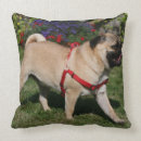 Suche nach geschirr kissen Hund