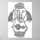 Suche nach kardiovaskulär poster Herz