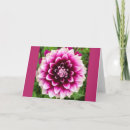 Suche nach pflaster karten Blume