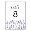 Suche nach ländlich tischkarten Grün