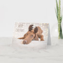 Suche nach viszla postkarten Für alle