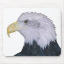 Suche nach weißkopfseeadler mousepads Wild lebende tiere