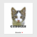 Suche nach coole katze aufkleber Jede person