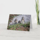 Suche nach babys kleine grußkarten Eule