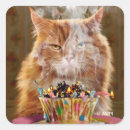 Suche nach geschmolzen aufkleber Geburtstag