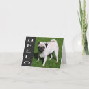 Suche nach pugs stuff karten Welpe