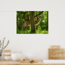 Suche nach tierwelt poster Bäume