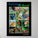 Suche nach morpho poster Brasilien