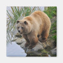 Suche nach wildtiere magnete Fotografie