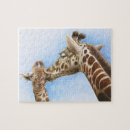 Suche nach kalb puzzle Baby