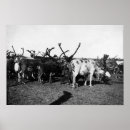 Suche nach ren poster Fotografie