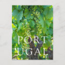 Suche nach weinrebe postkarten Europa