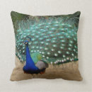 Suche nach pfau kissen Jede person