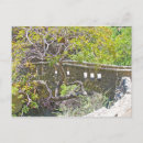 Suche nach steinbrücke postkarten Fotografie