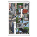 Suche nach vogel kalender Erhaltung
