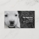 Suche nach haustier modelle visitenkarten Welpe