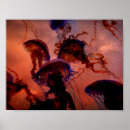 Suche nach space poster Stars
