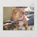 Suche nach ungeschickt postkarten Für alle