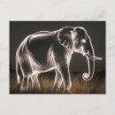 Suche nach schwarz weißer elefant postkarten Safari