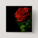 Suche nach flora buttons Rose