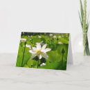 Suche nach lose alle karten Blume