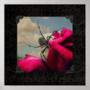 Suche nach spinnen poster Rose