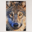 Suche nach wilder wolf puzzle Rätsel