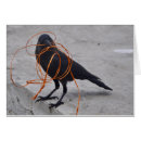 Suche nach elster postkarten Foto