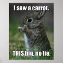 Suche nach funny bunny poster Kaninchen