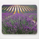 Suche nach bereiche mousepads Lila