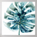 Suche nach palmen poster Dschungel