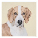 Suche nach foxhound poster Hund
