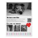 Suche nach dan poster Jede person