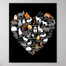 Suche nach funny easter poster Kaninchen