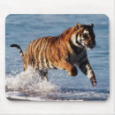 Suche nach bengalische tiger mousepads Horizontal