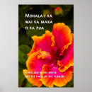 Suche nach fuchsie poster Für sie