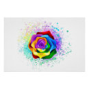 Suche nach regenbogen rose poster Farbe