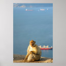 Suche nach gibraltar poster Schiff