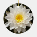Suche nach lotus ornamente Für alle