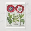 Suche nach hortus postkarten Deutscher