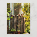 Suche nach morgensonne postkarten Für alle