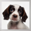 Suche nach portr Baby