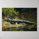 Suche nach große zahlen poster Zähler