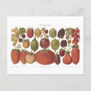 Suche nach frucht postkarten Beeren